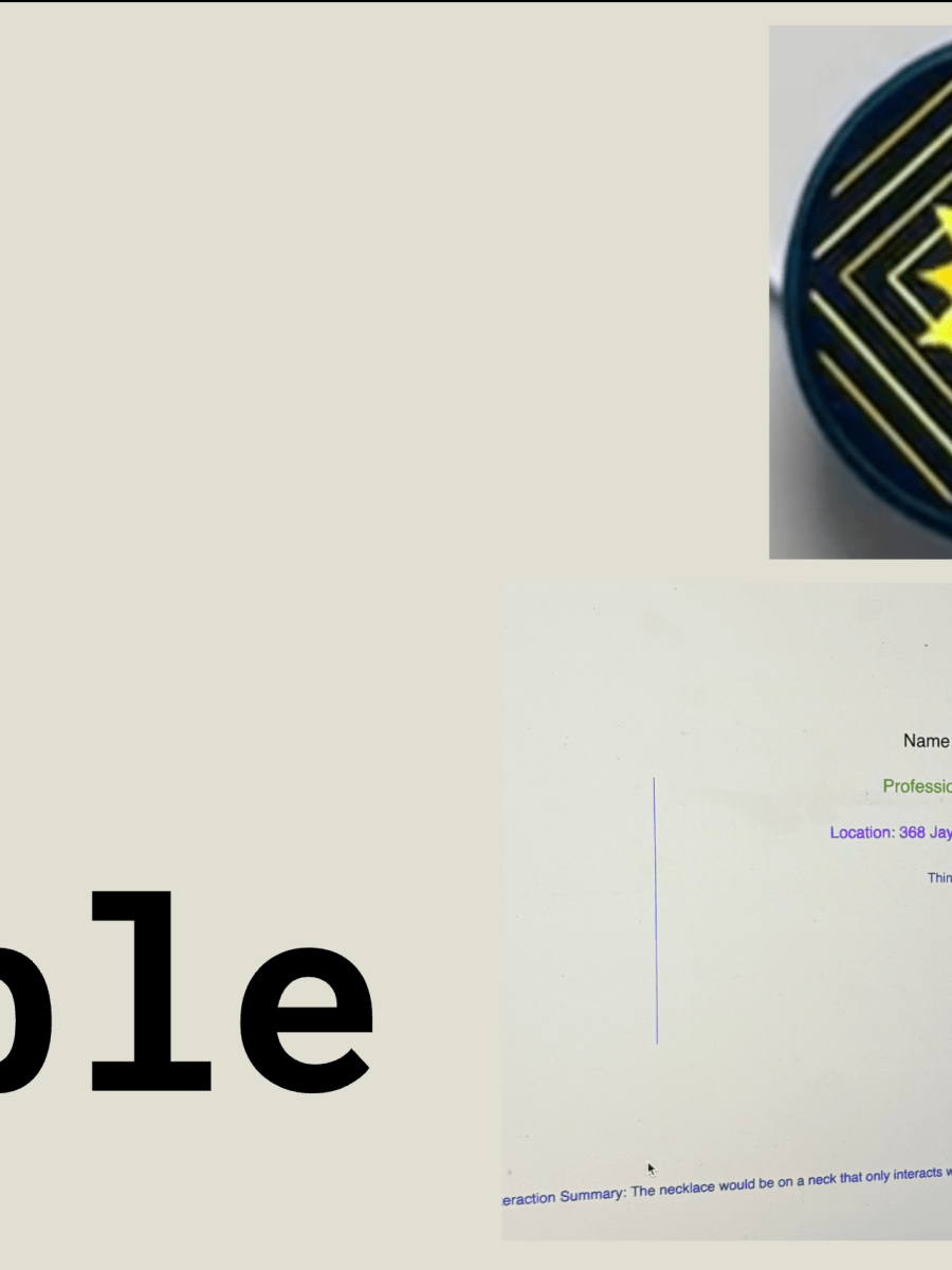 Pebble: A Social&nbsp;Aide