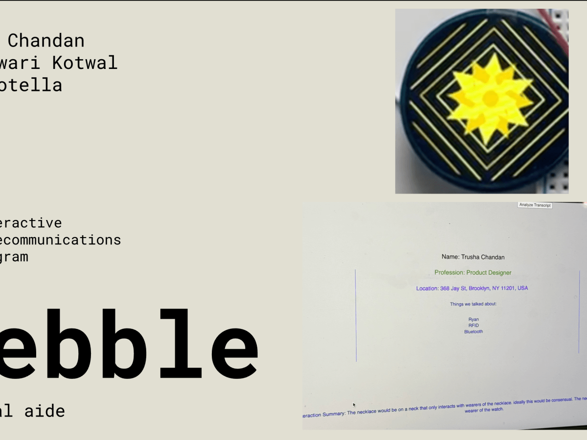 Pebble: A Social&nbsp;Aide